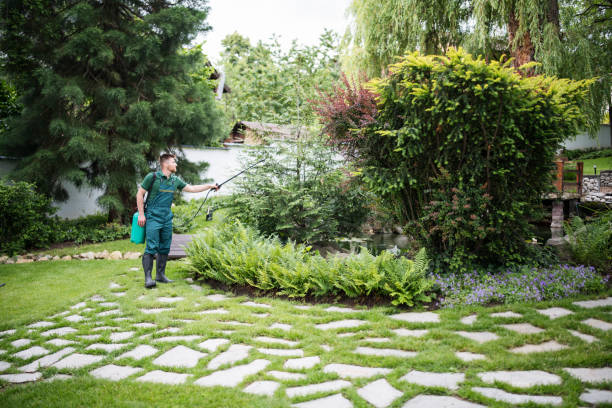 Best Insect Control  in Wareham Center, MA