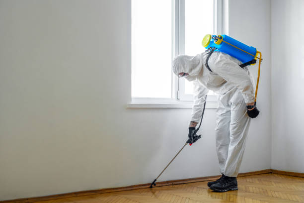 Best Bed Bug Extermination  in Wareham Center, MA