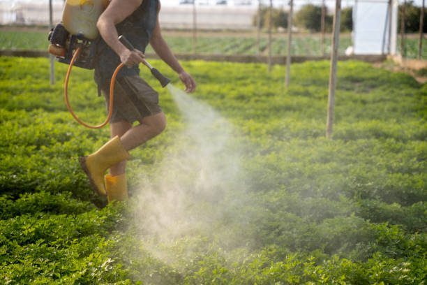Best Best Pest Control Companies  in Wareham Center, MA