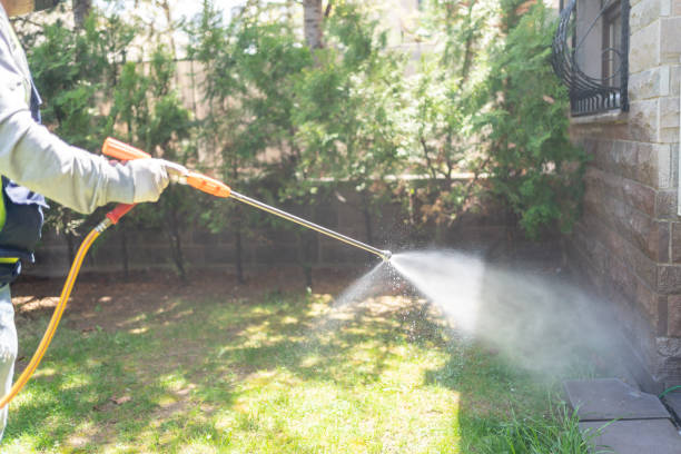 Best Residential Pest Control  in Wareham Center, MA