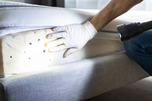 Best Pest Prevention Services  in Wareham Center, MA